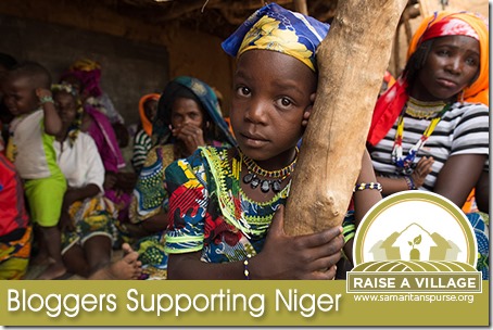 Samaritan's Purse Raise a Village: Bloggers Supporting Niger
