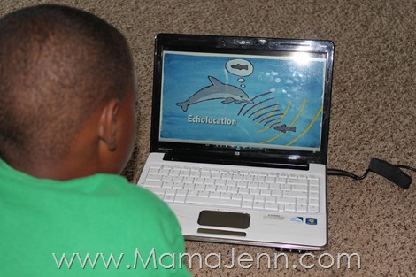 Dolphin Tale 2 Curriculum